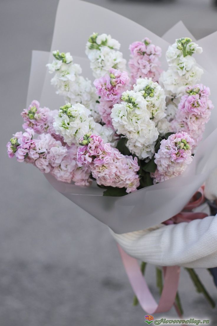 букет из маттиол