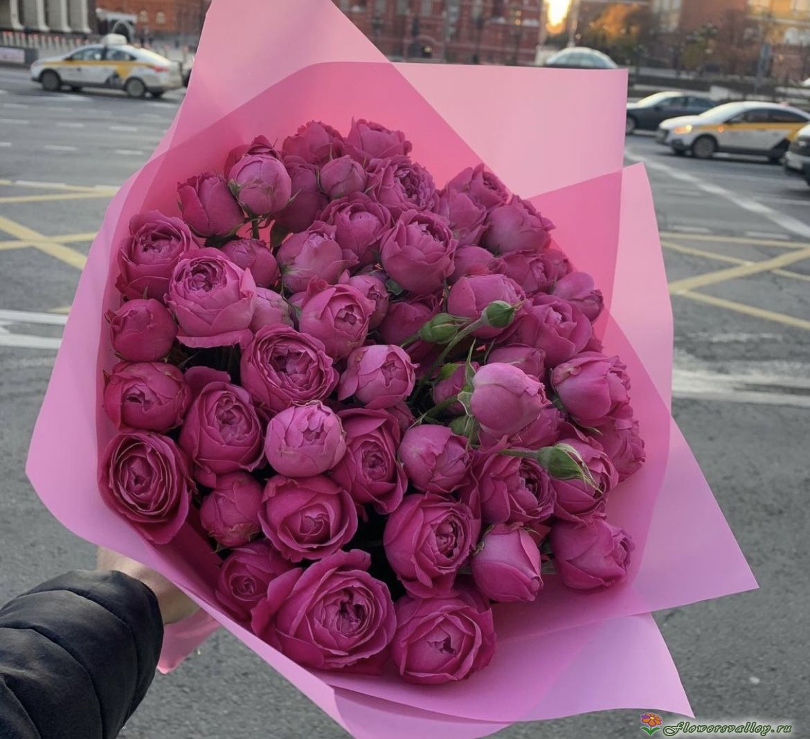 букет из малиновых роз  Мисти Баблс ( сорт Misty Bubbles ) 