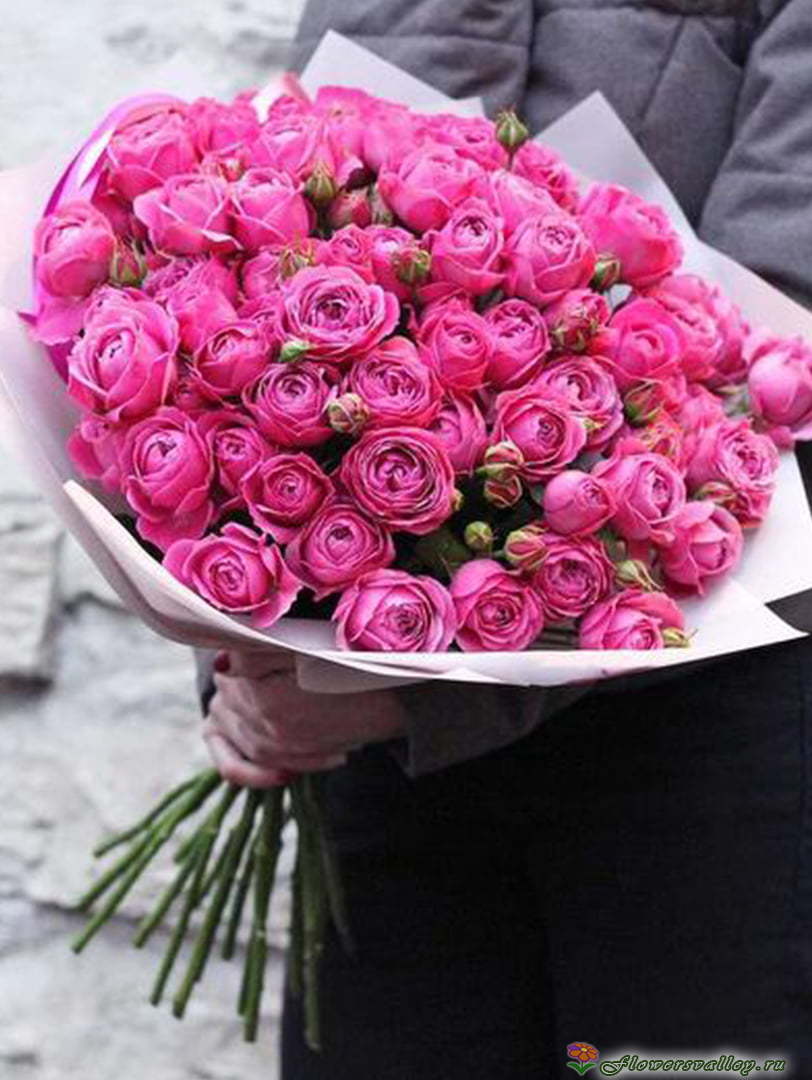 Букет из 51 пионовидной розы Мисти Баблс ( Misty Bubbles)