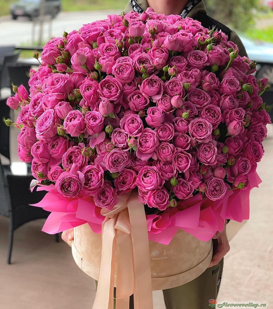 Пионовидная роза Мисти Баблс( сорт Misty Bubbles)в шляпной кробке