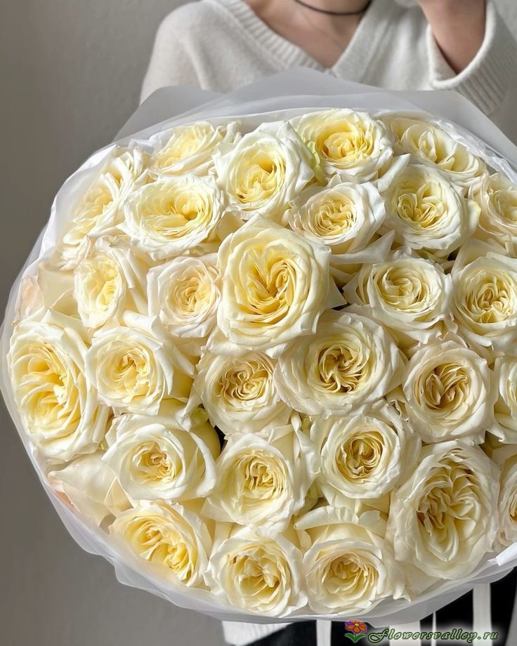 Букет из 51 розы Канделайт (пр-во Эквадор, сорт "Candlelight", пионовидная)
