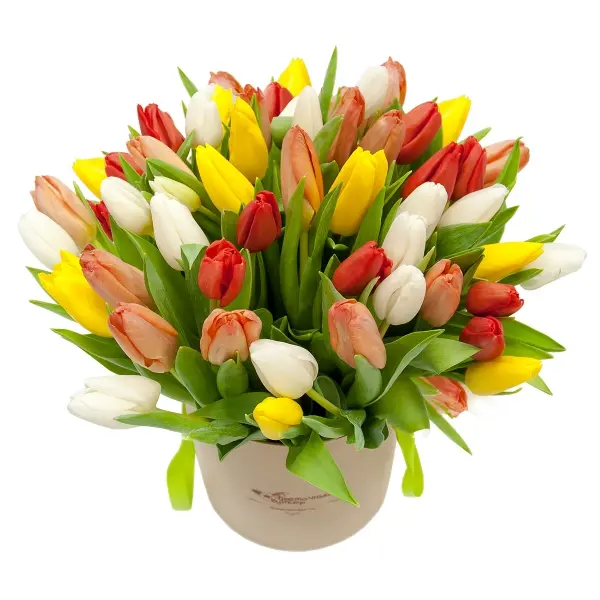 Шляпная коробка с 51 разноцветным тюльпаном