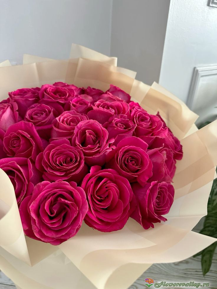 Букет из 15 роз Готча ( сорт "Gotcha", пр-во Эквадор)