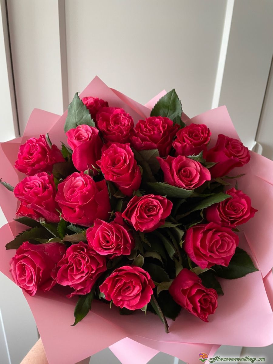 Букет из 15 роз Готча ( сорт "Gotcha", пр-во Эквадор)