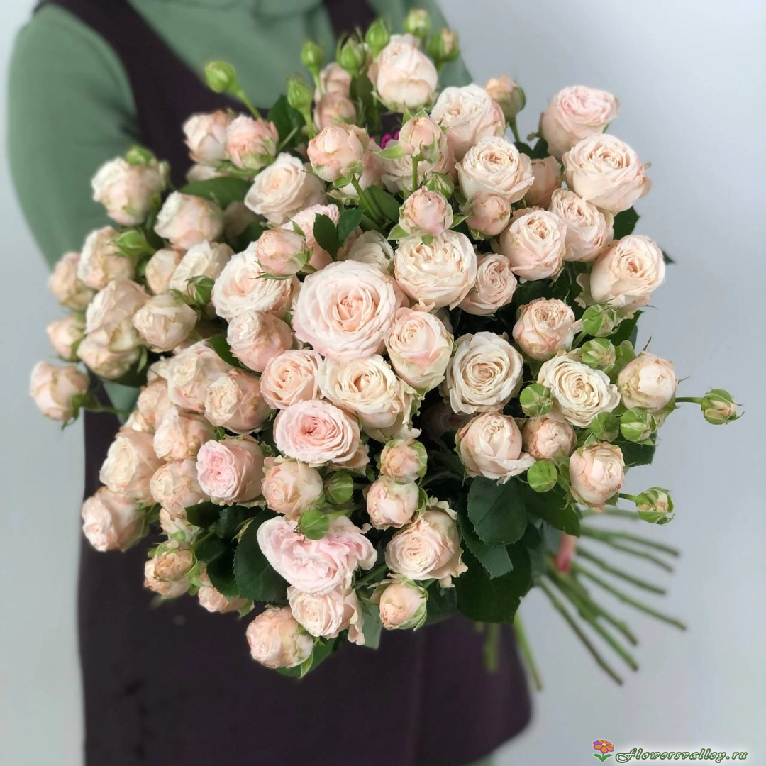 	Букет из 35 пионовидных роз Мадам Бомбастик ( Madam Bombastic ) Фото 2