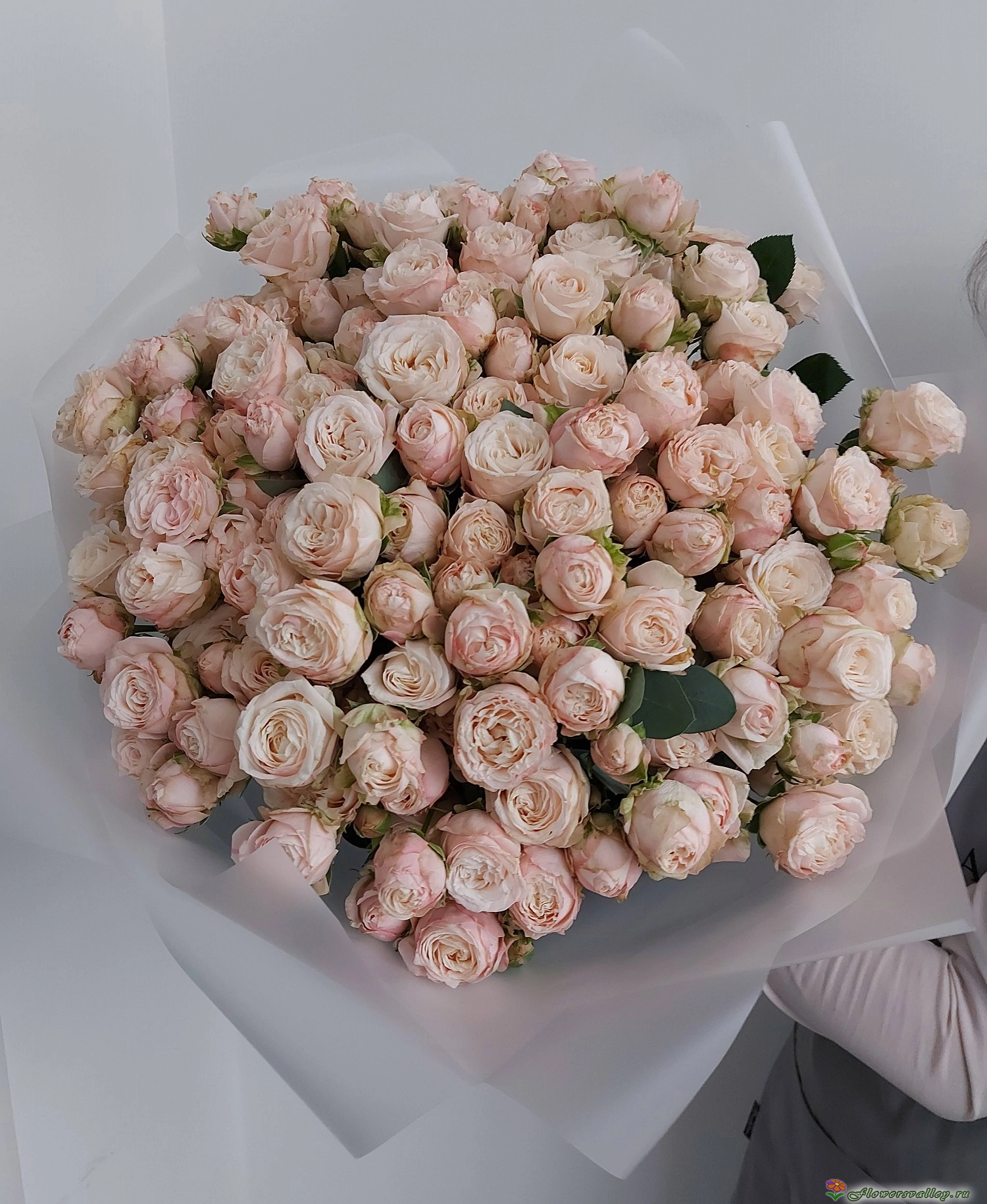 	Букет из 35 пионовидных роз Мадам Бомбастик ( Madam Bombastic ) Фото 4