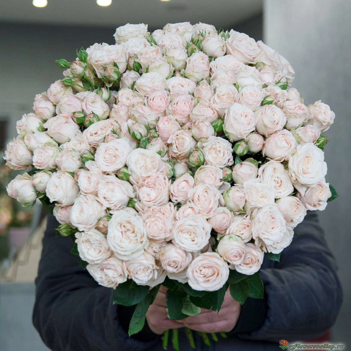 	Букет из 35 пионовидных роз Мадам Бомбастик ( Madam Bombastic ) Фото 3