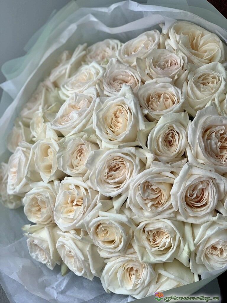 Букет из роз Вайт Охара ( сорт White O'Hara, пр-во Эквадор) Фото 10