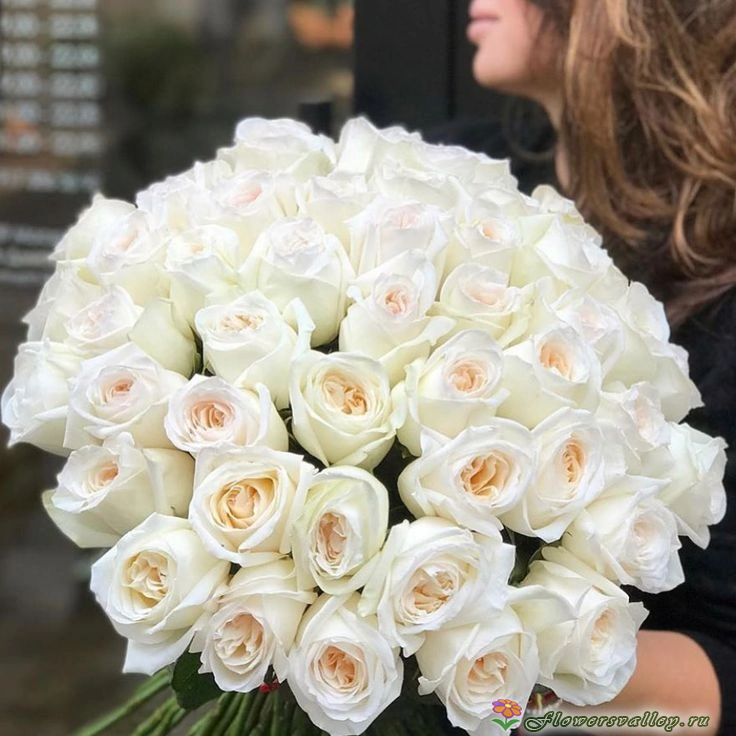 	Букет из 51 розы Вайт Охара ( сорт White O'Hara, пр-во Эквадор) Фото 2