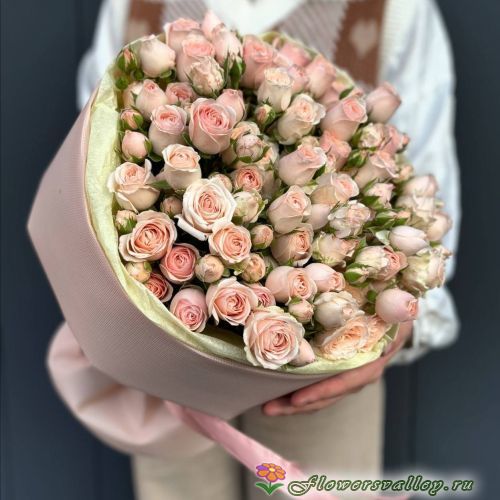 Букет из 25 розовых кустовых роз "Лидия" (Lidia)