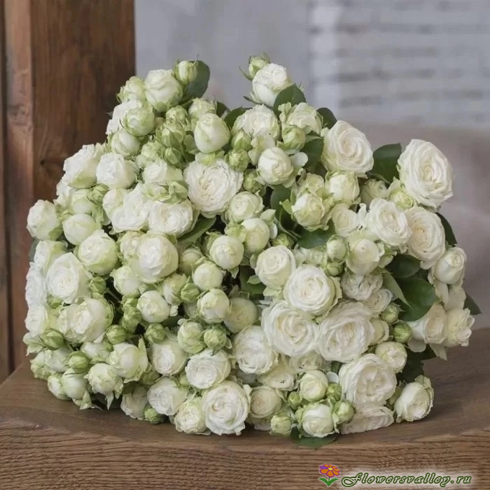 Букет из 51 белой пионовидной розы Мисс Бомбастик ( Miss Bombastic ) фото 3