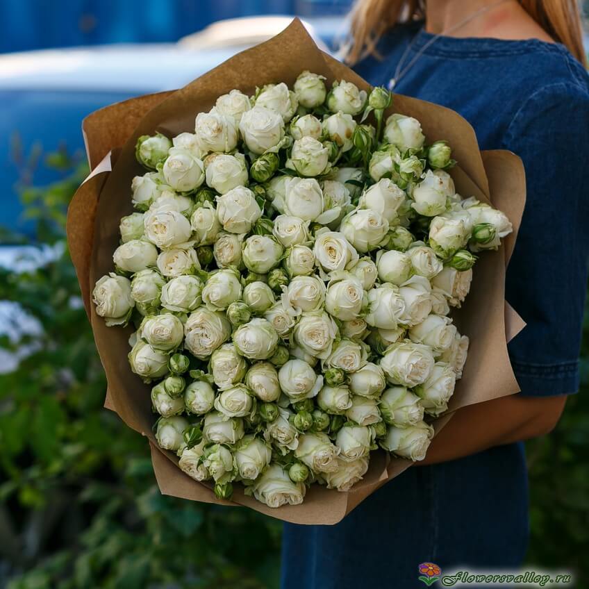 Букет из 51 белой пионовидной розы Мисс Бомбастик ( Miss Bombastic )