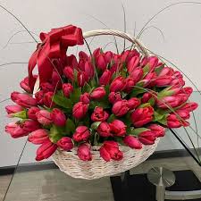 101 красный тюльпан