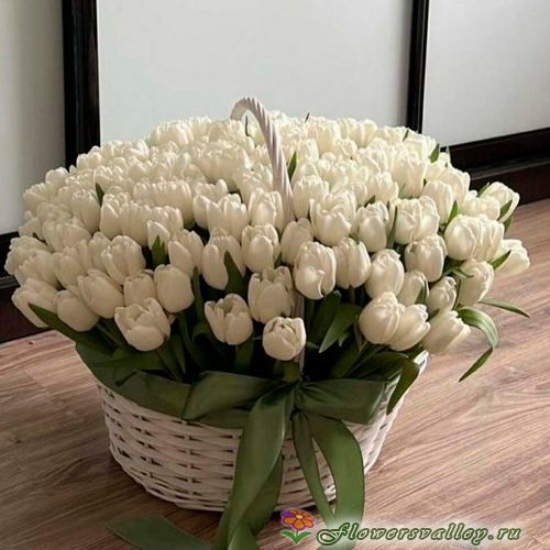 Корзинка 101 белый тюльпан