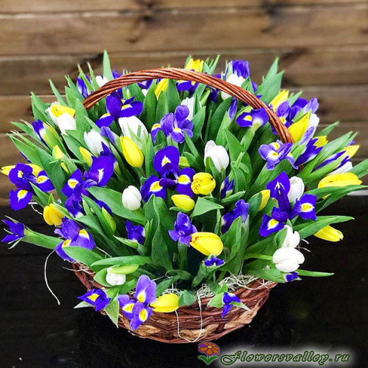 тюльпаны и ирисы