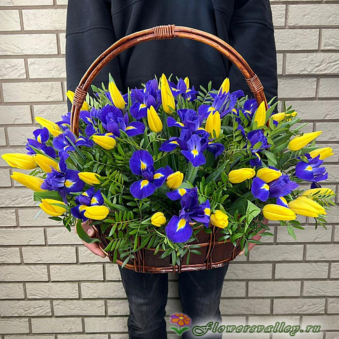 тюльпаны и ирисы