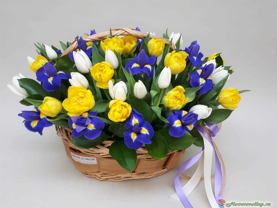 тюльпаны и ирисы