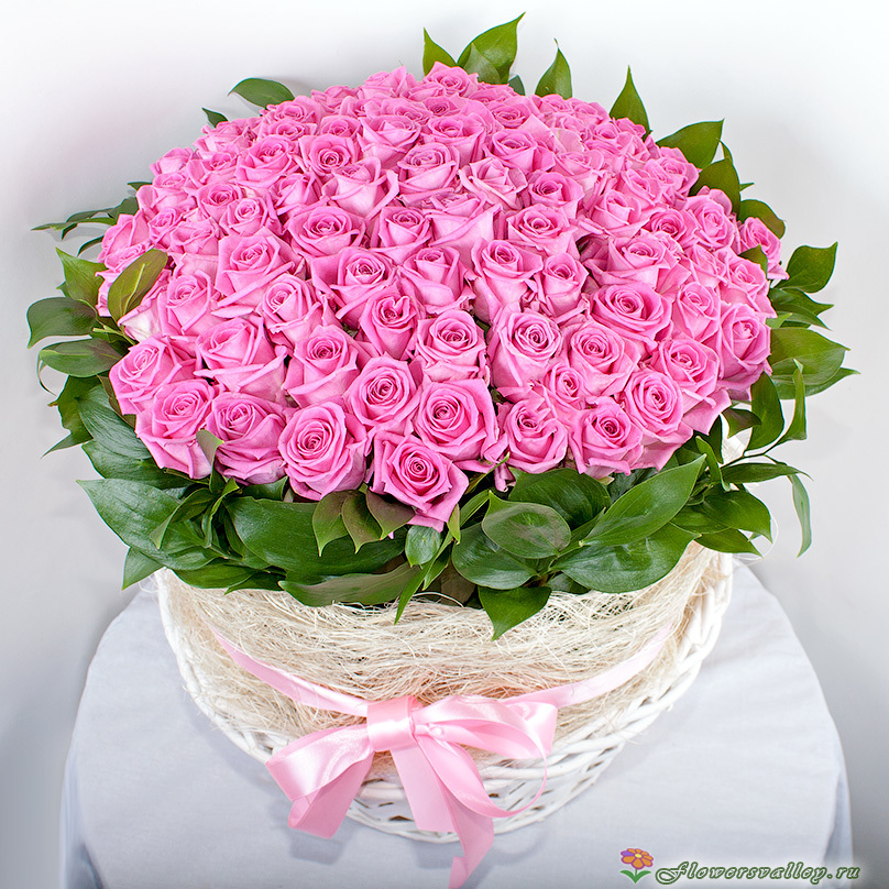 101 розовая Роза