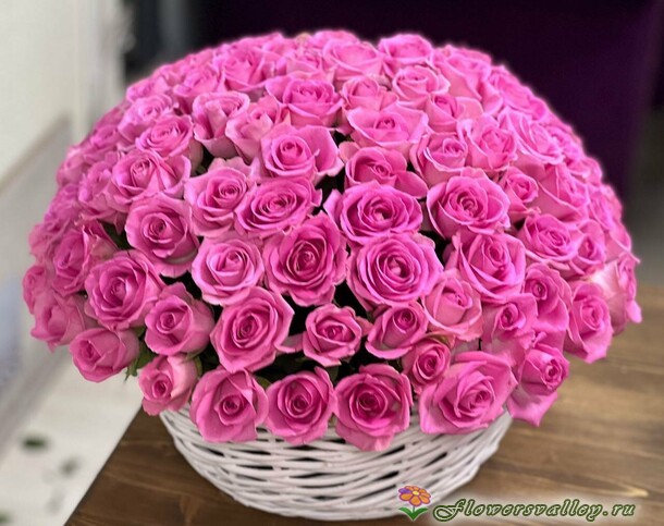101 розовая Роза