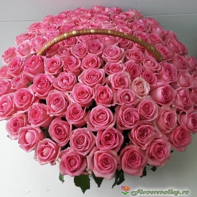 101 розовая Роза