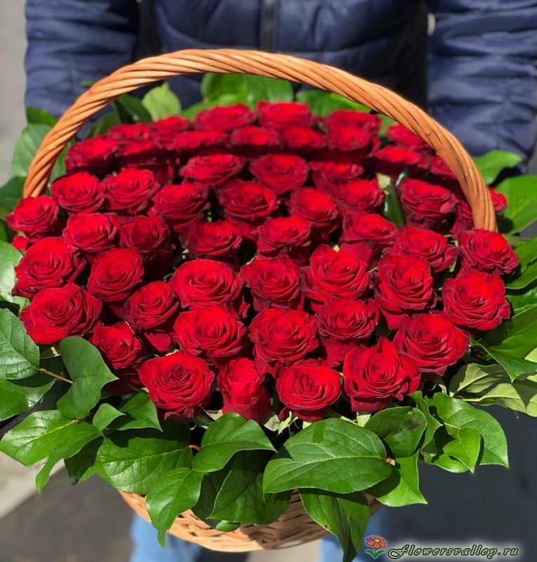 51 красная роза