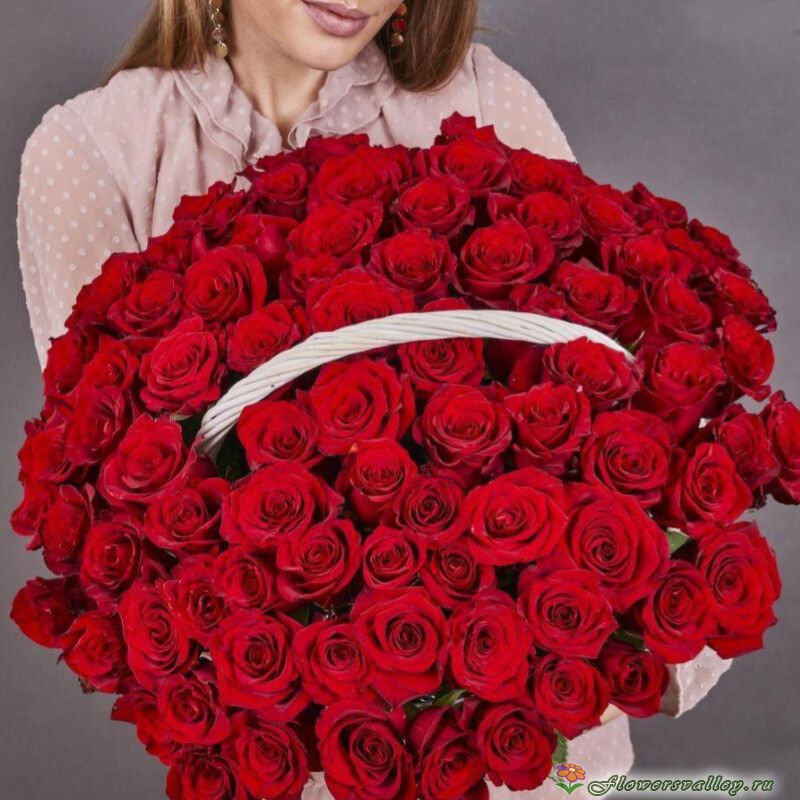 51 красная роза
