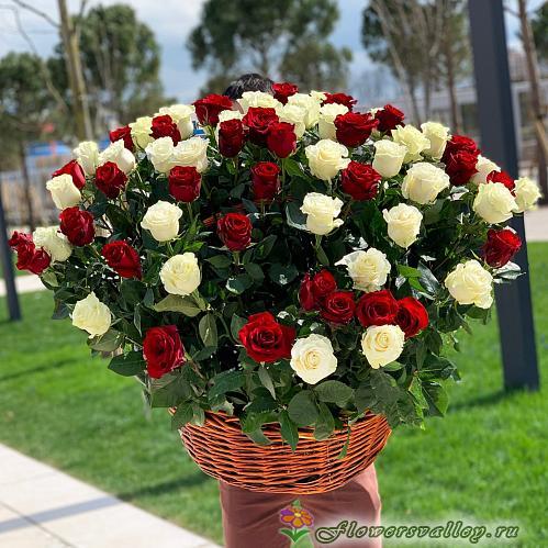 75 роз красных и белых