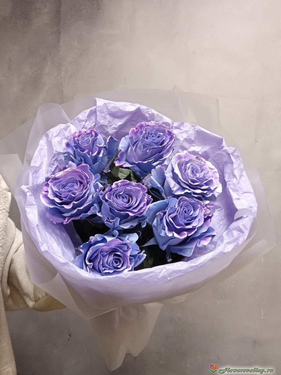 Букет роз пр-ва Эквадор Чарминг Стар, 7 шт (Charming star)