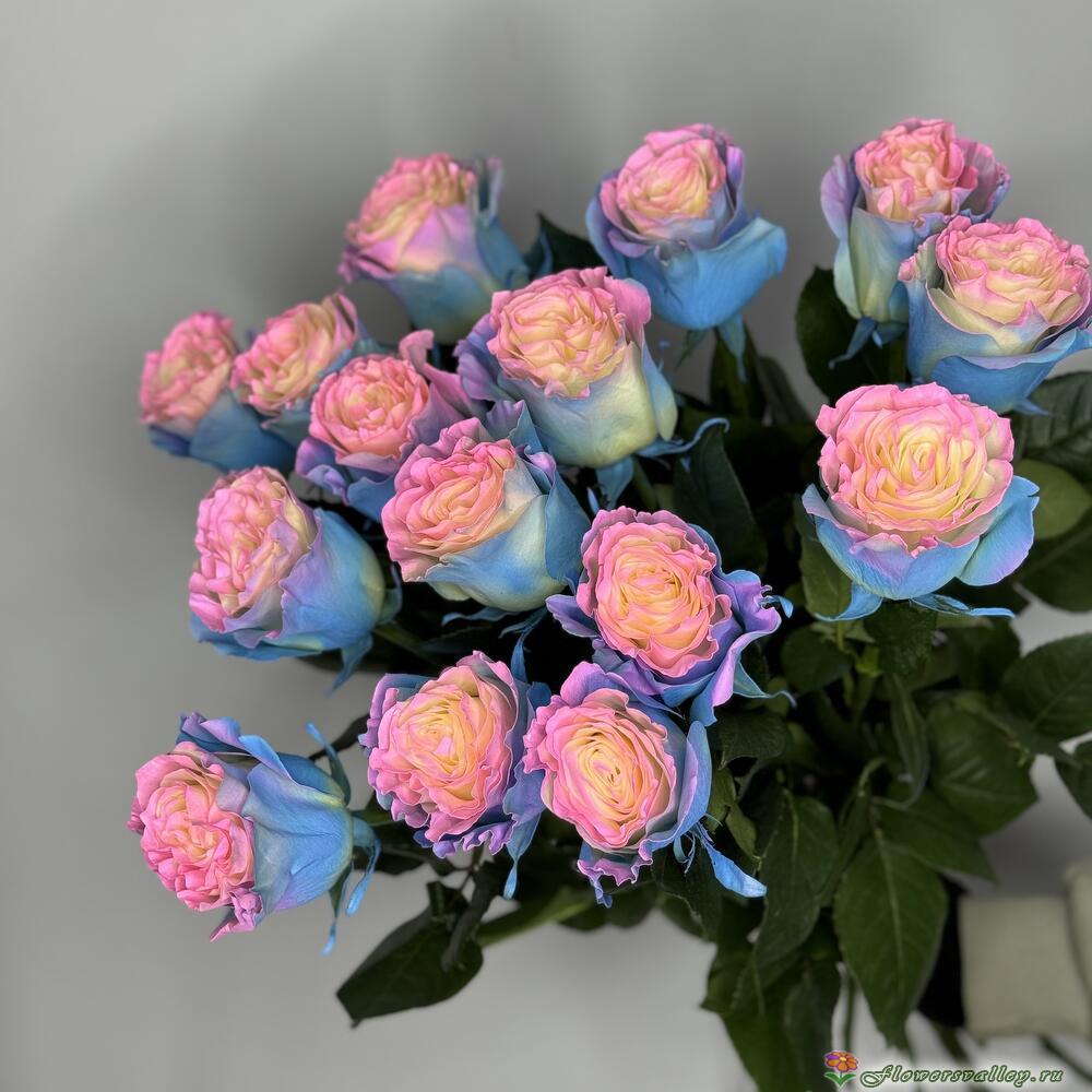 Букет роз пр-ва Эквадор Барби Стар, 11 шт (Barbie star)