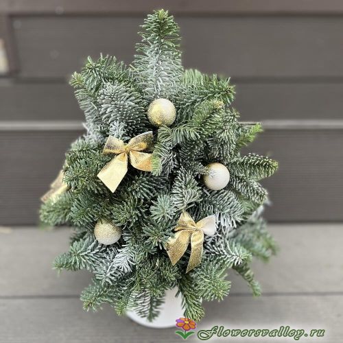 Елочка из нобилиса