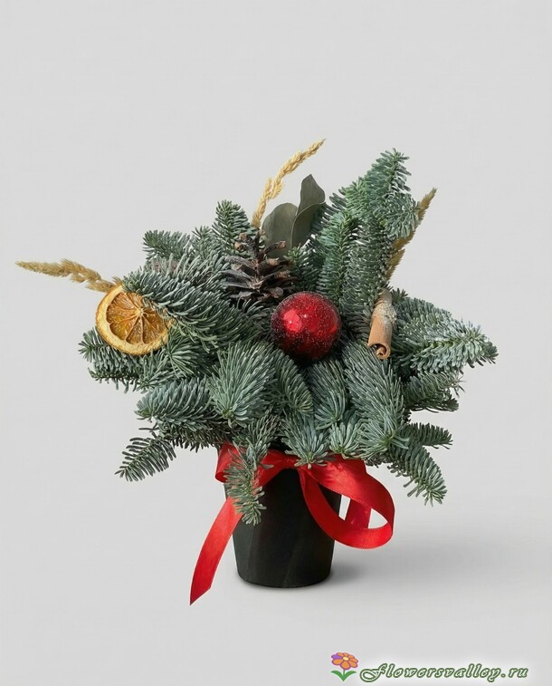 Композиция с нобилисом