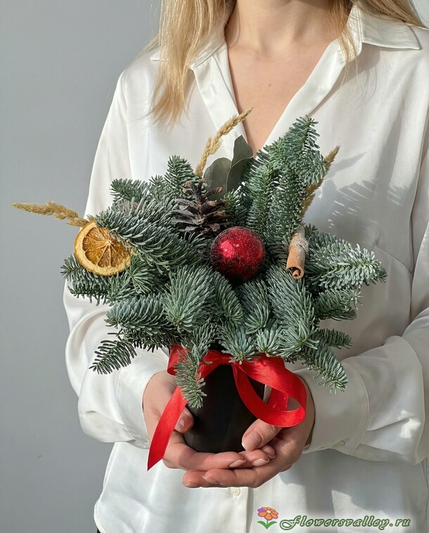 Композиция с нобилисом