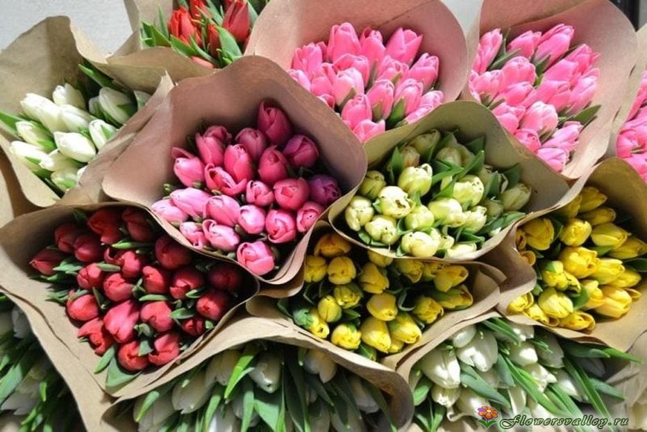 тюльпаны в упаковке по 20шт. микс