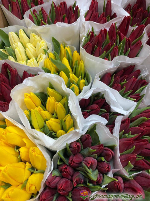 тюльпаны микс, 20 шт