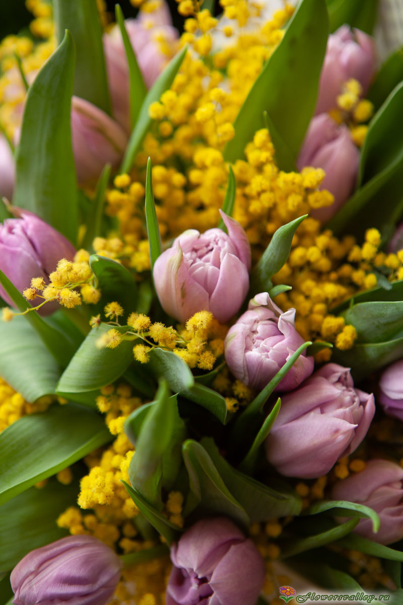 Букет из тюльпанов и мимозы