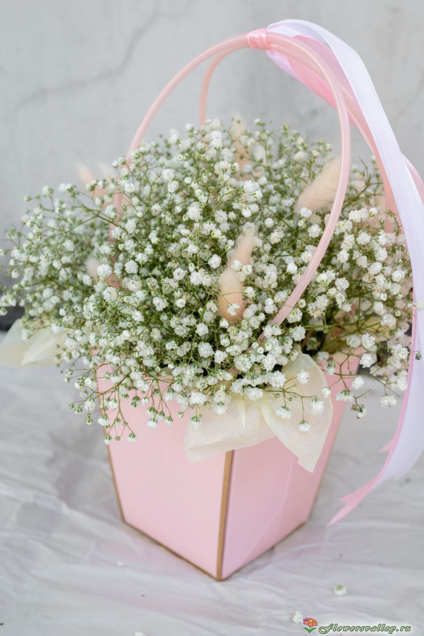 Гипсофилы в коробке