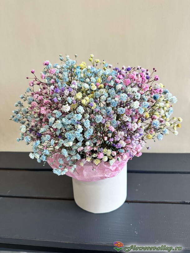 Гипсофилы в коробке