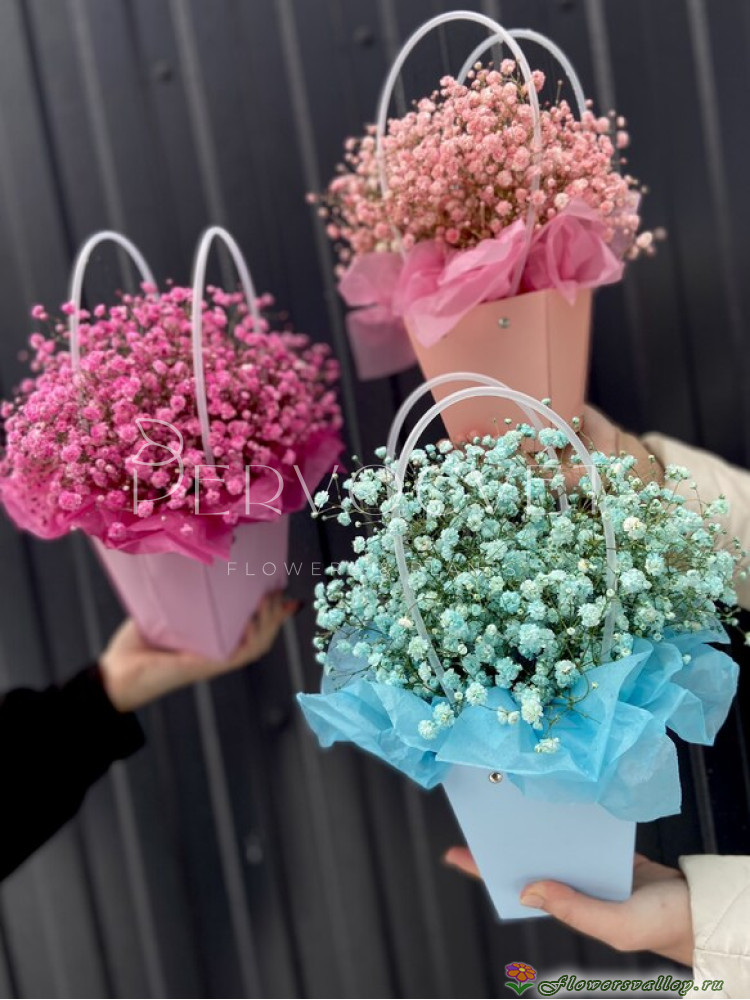 Гипсофилы в коробке