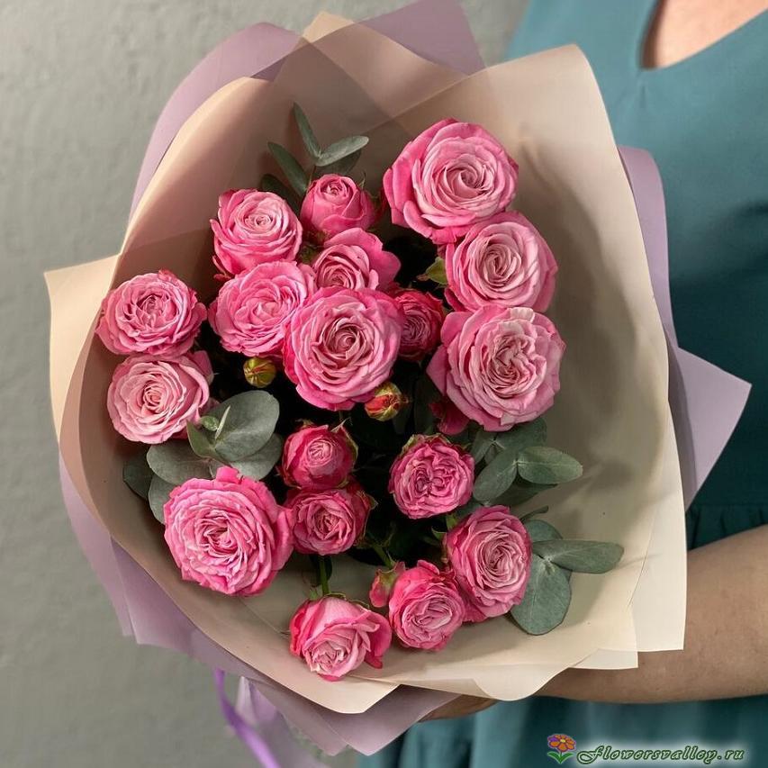 кустовая роза Леди Бомбастик