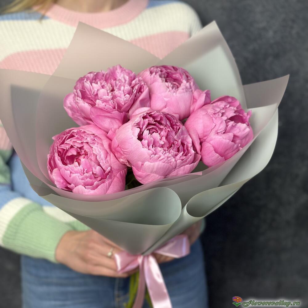 Розовые пионы 5 штук