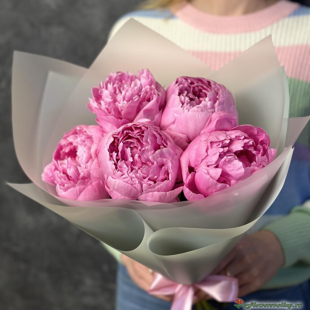 Розовые пионы 5 штук