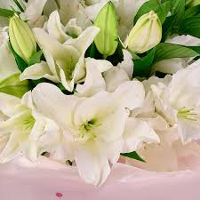 15 белых лилий 
