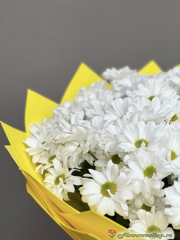 15 хризантем