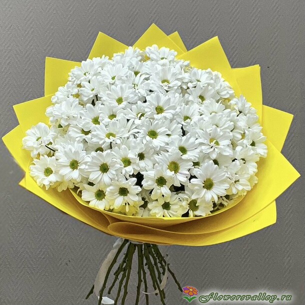 15 хризантем