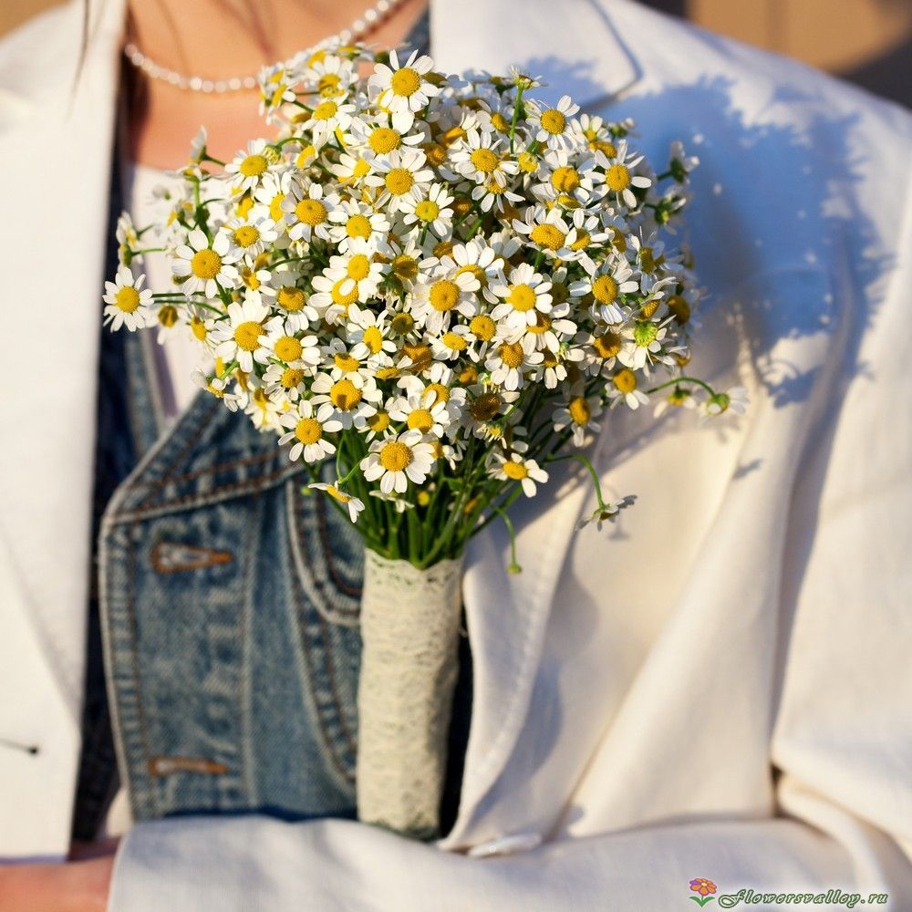 матрикария