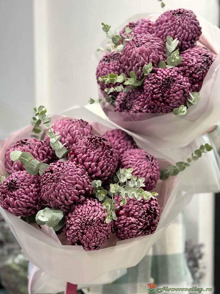 Букет хризантем Бигуди 7