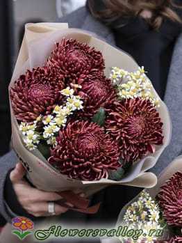 Букет хризантем Бигуди с матрикарией