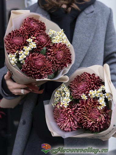 Букет хризантем Бигуди с матрикарией