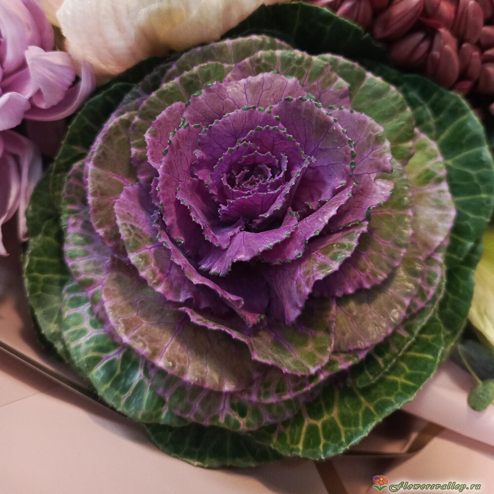 Осенний букет с амариллисами