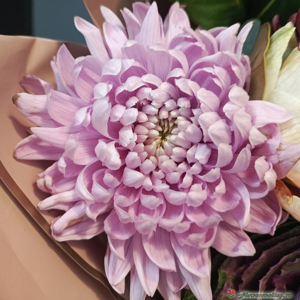 Осенний букет с амариллисами